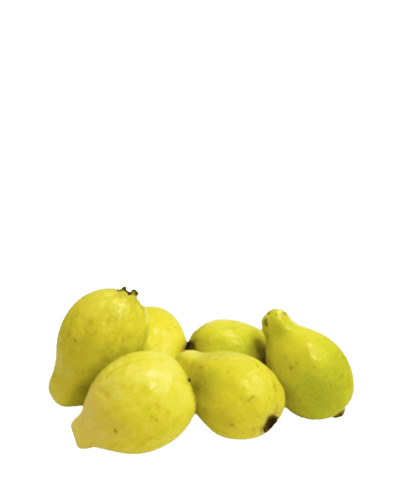 A-5335.jpg