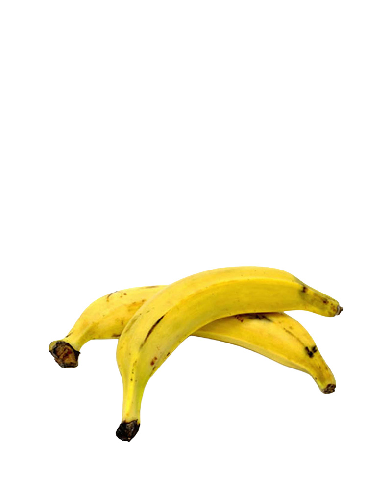 A-5337.jpg